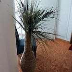 Отель Altstadthotel Arch Регенсбург